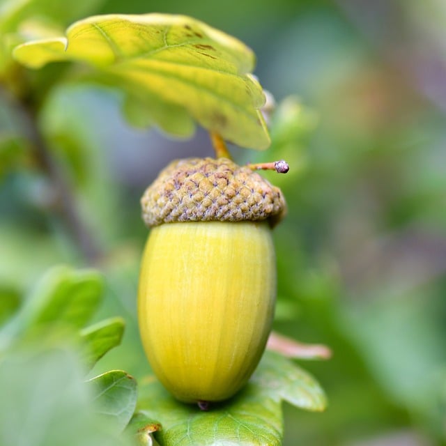 Sådan slipper du af med akne – eksperternes bedste råd